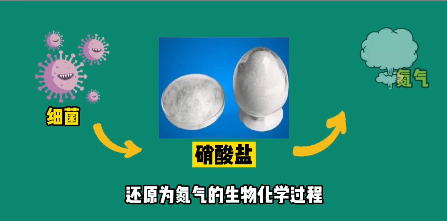 什么是污水處理中的反硝化？