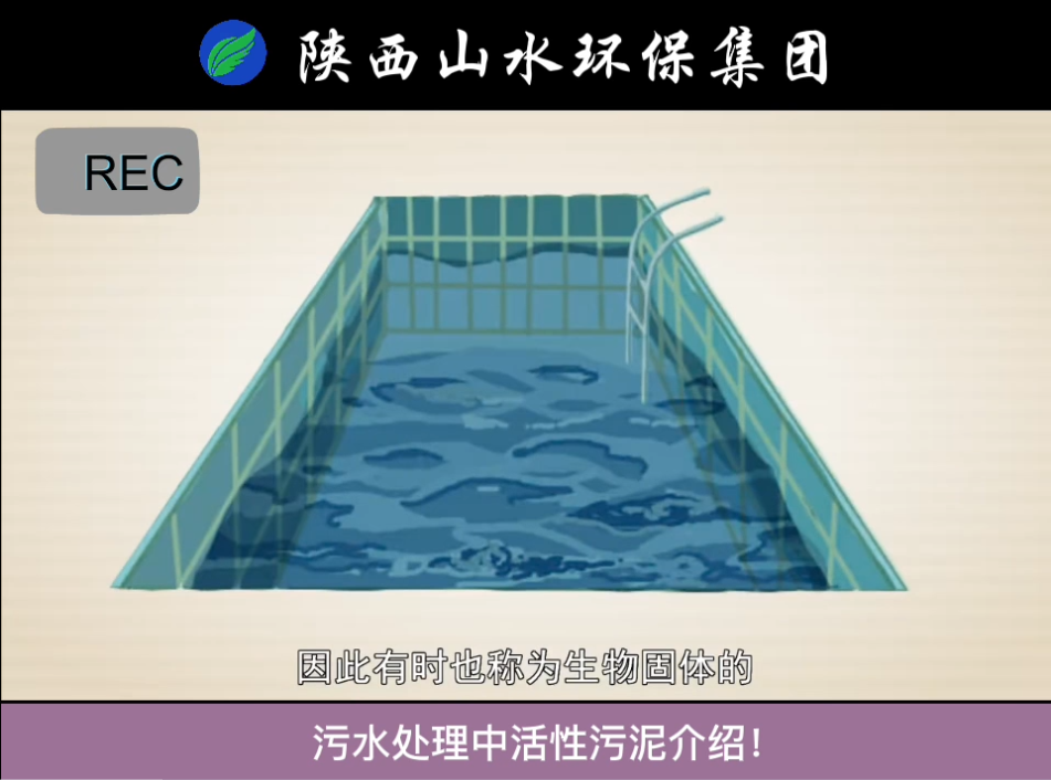 污水處理中活性污泥介紹！